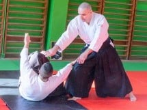 Stagiu Aikido