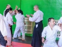 Stagiu Aikido