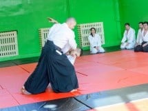 Stagiu Aikido