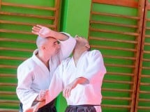 Stagiu Aikido