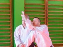 Stagiu Aikido