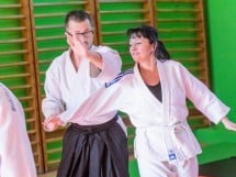 Stagiu Aikido