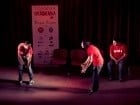 Stand-up Comedy în Casa de Cultură