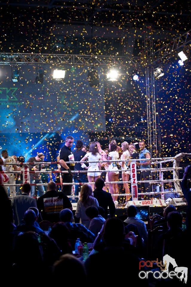 Super Kombat, Arena Antonio Alexe