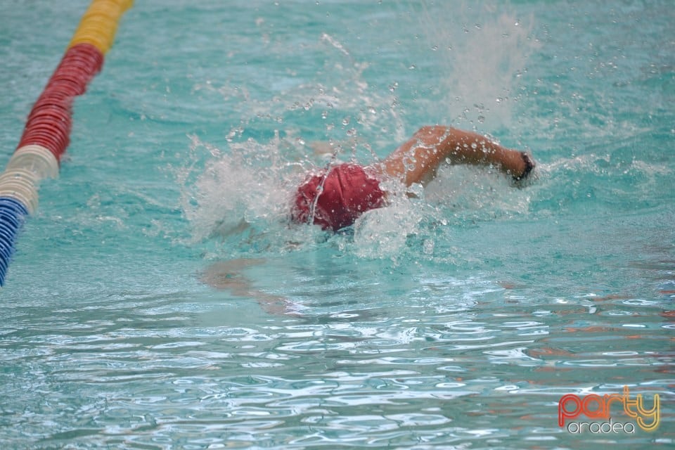 Swimathon 2014, Bazinul Olimpic Ioan Alexandrescu