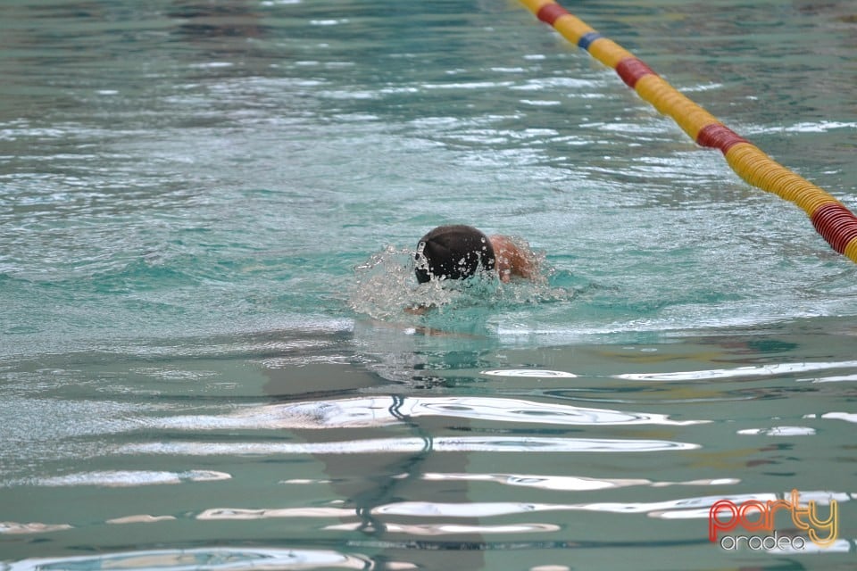 Swimathon 2014, Bazinul Olimpic Ioan Alexandrescu