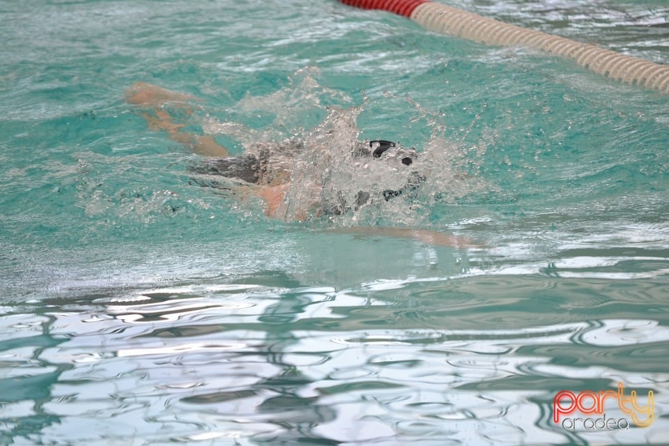 Swimathon 2014, Bazinul Olimpic Ioan Alexandrescu