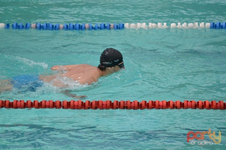 Swimathon 2014, Bazinul Olimpic Ioan Alexandrescu