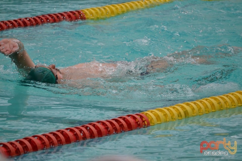 Swimathon 2014, Bazinul Olimpic Ioan Alexandrescu