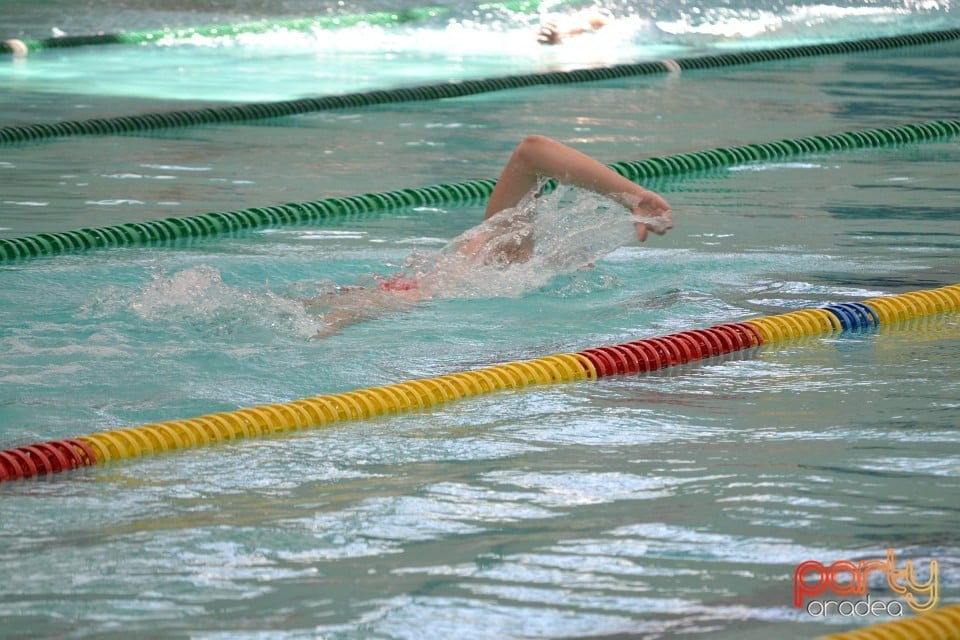 Swimathon 2014, Bazinul Olimpic Ioan Alexandrescu