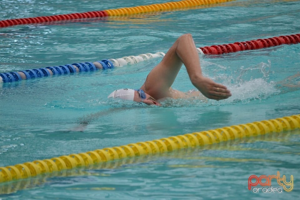 Swimathon 2014, Bazinul Olimpic Ioan Alexandrescu