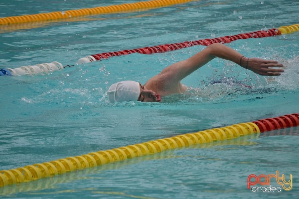 Swimathon 2014, Bazinul Olimpic Ioan Alexandrescu