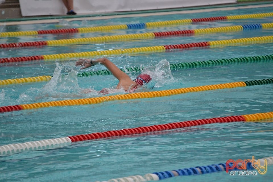 Swimathon 2014, Bazinul Olimpic Ioan Alexandrescu