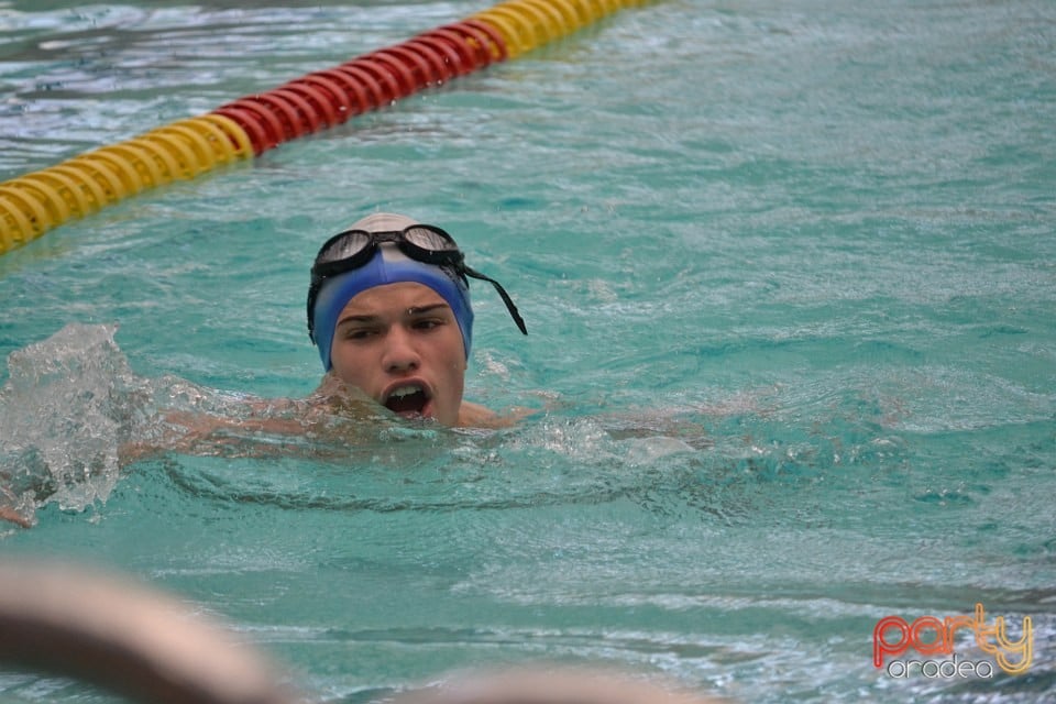 Swimathon 2014, Bazinul Olimpic Ioan Alexandrescu