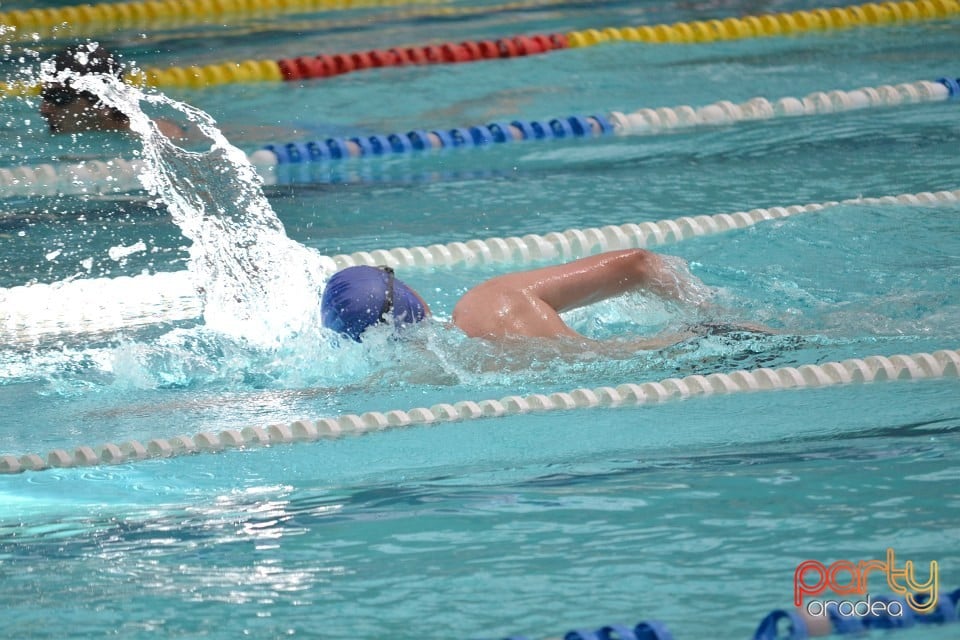 Swimathon 2014, Bazinul Olimpic Ioan Alexandrescu