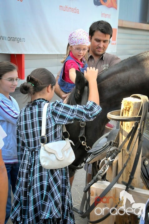 Târg de şcoală şi festival de şah, Era Shopping Park