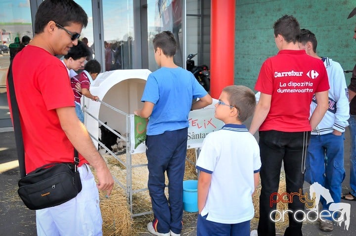 Târg de şcoală şi festival de şah, Era Shopping Park