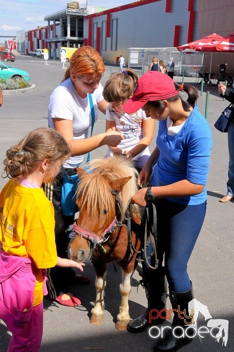 Târg de şcoală şi festival de şah, Era Shopping Park