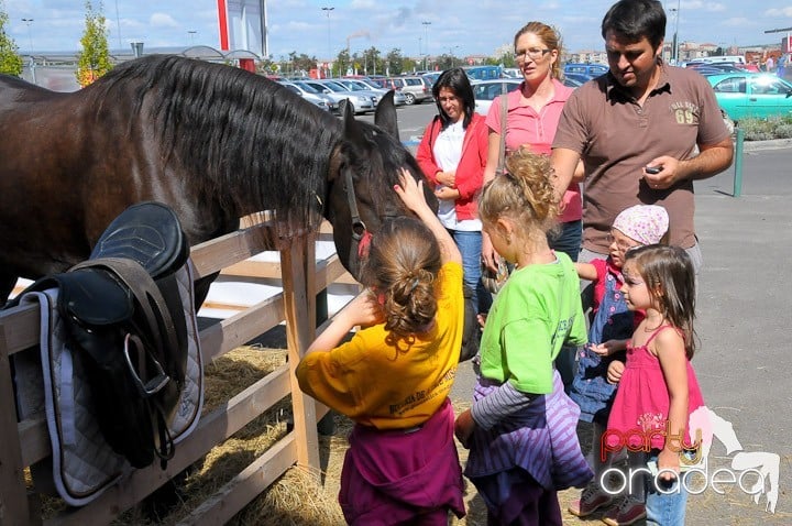 Târg de şcoală şi festival de şah, Era Shopping Park