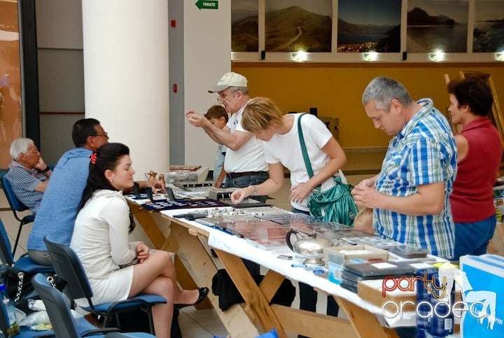 Târgul de antichităţi la Era Shopping Park, Era Shopping Park