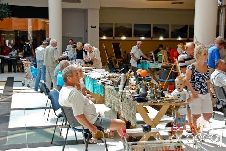 Târgul de antichităţi la Era Shopping Park, Era Shopping Park