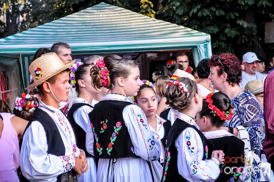 Targul Mesterilor Populari, Oradea