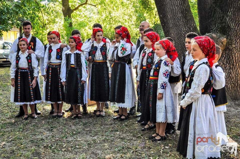 Targul Mesterilor Populari, Oradea