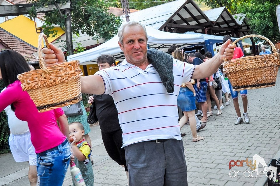 Targul Mesterilor Populari, Oradea