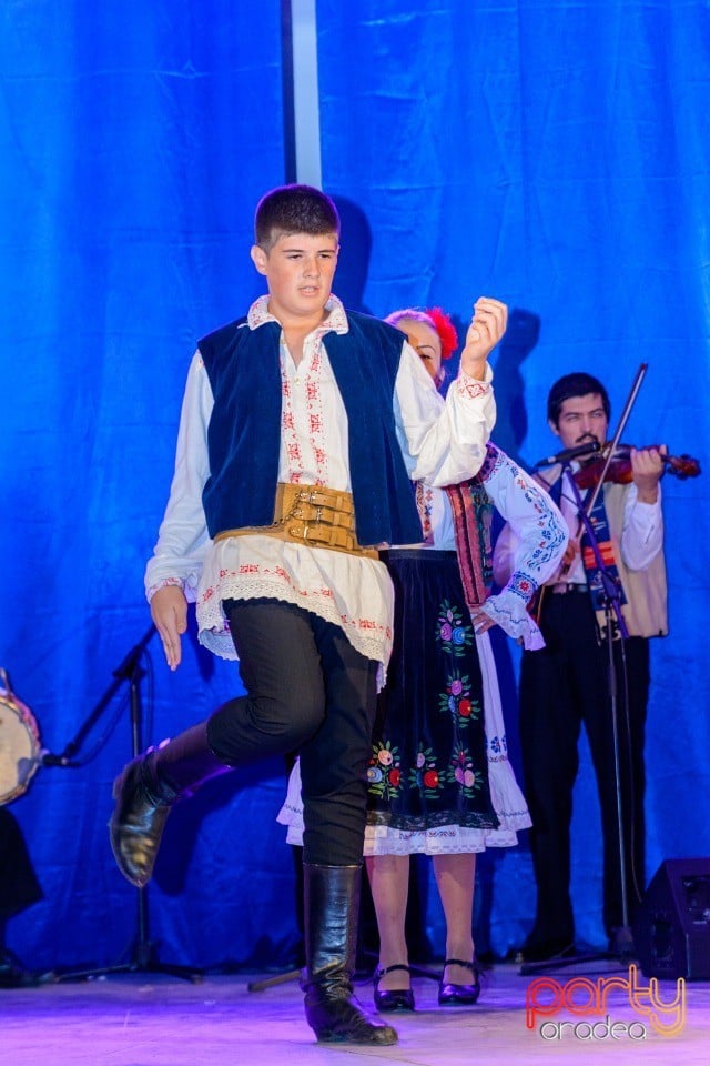 Târgul Pălincarilor, Oradea