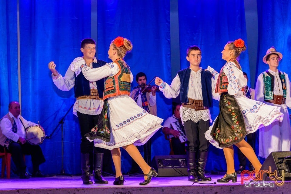 Târgul Pălincarilor, Oradea