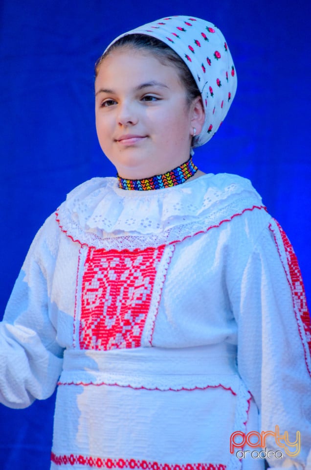 Târgul Pălincarilor, Oradea