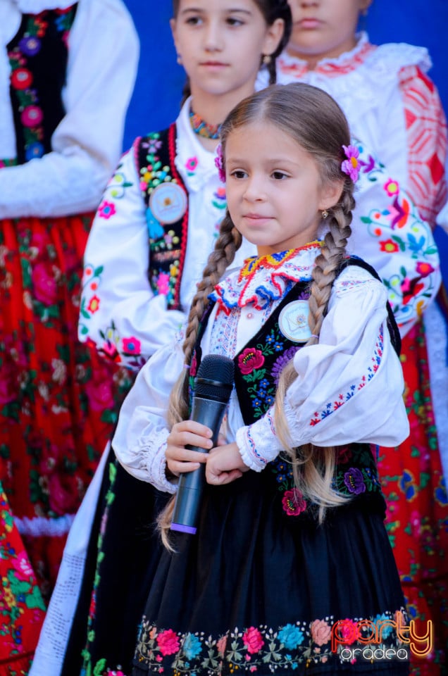 Târgul Pălincarilor, Oradea