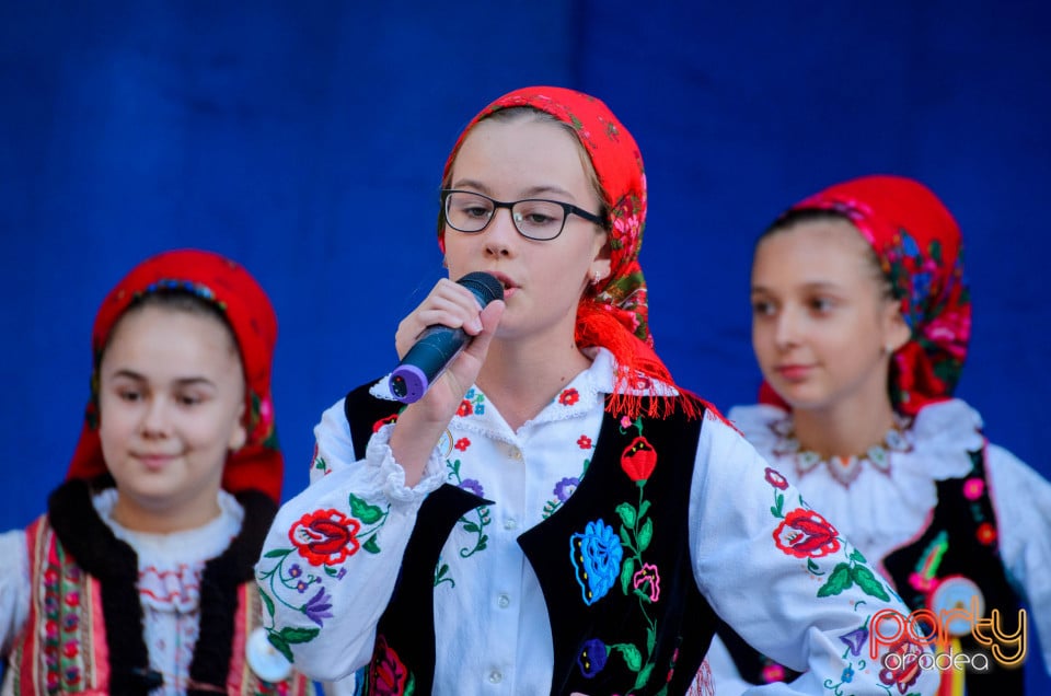Târgul Pălincarilor, Oradea