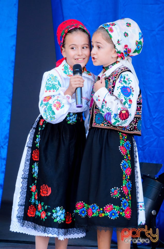 Târgul Pălincarilor, Oradea