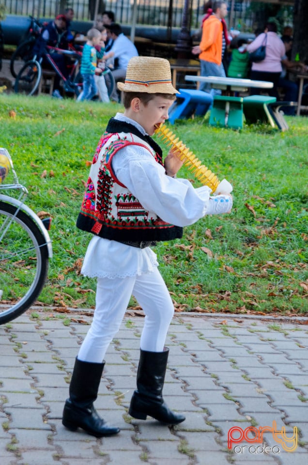 Târgul Pălincarilor, Oradea