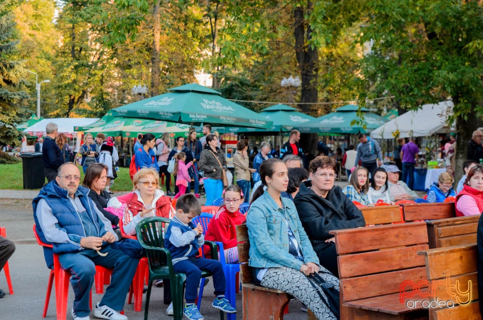 Târgul Pălincarilor, Oradea