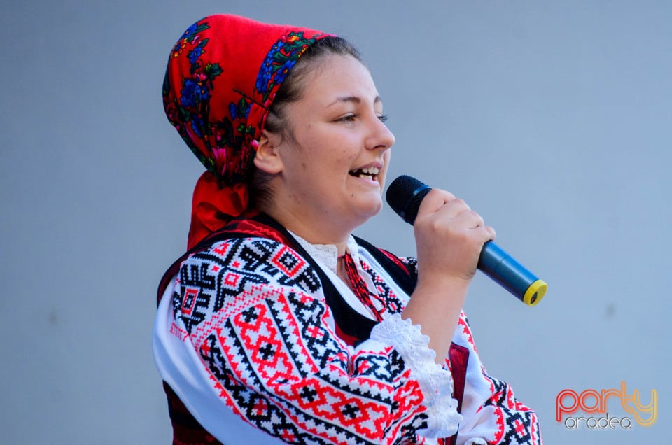 Târgul Pălincarilor, Oradea