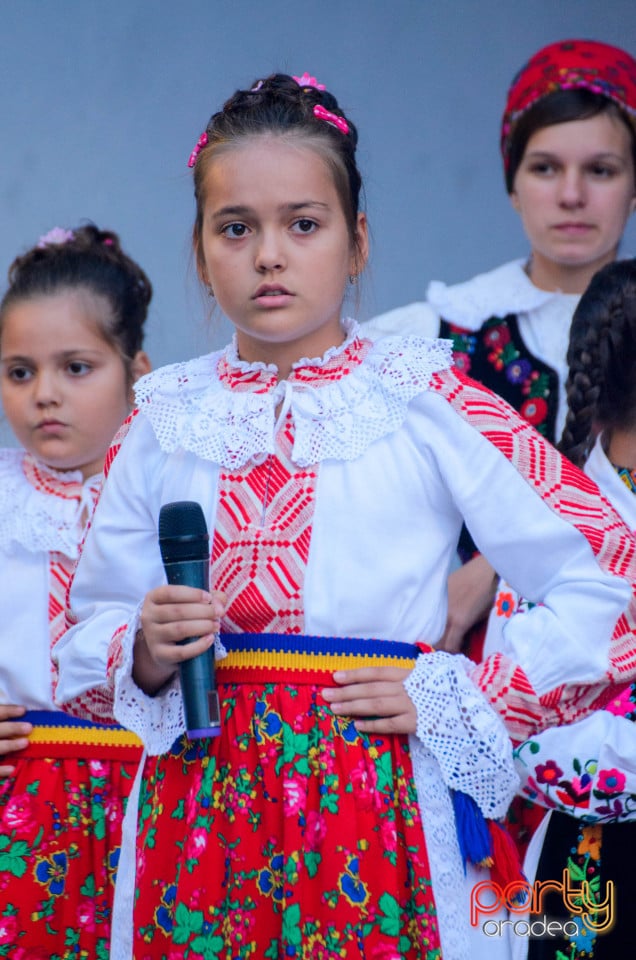 Târgul Pălincarilor, Oradea