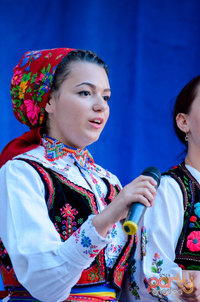 Târgul Pălincarilor, Oradea