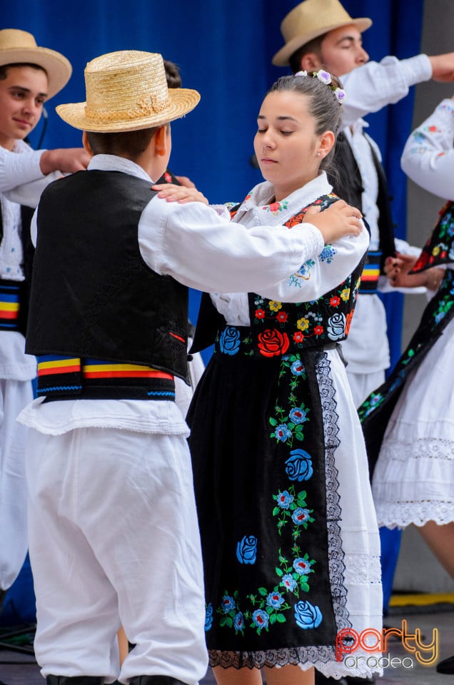 Târgul Pălincarilor, Oradea