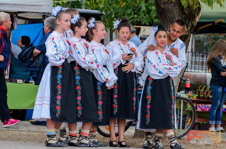 Târgul Pălincarilor, Oradea