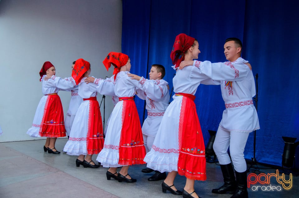 Târgul Pălincarilor, Oradea