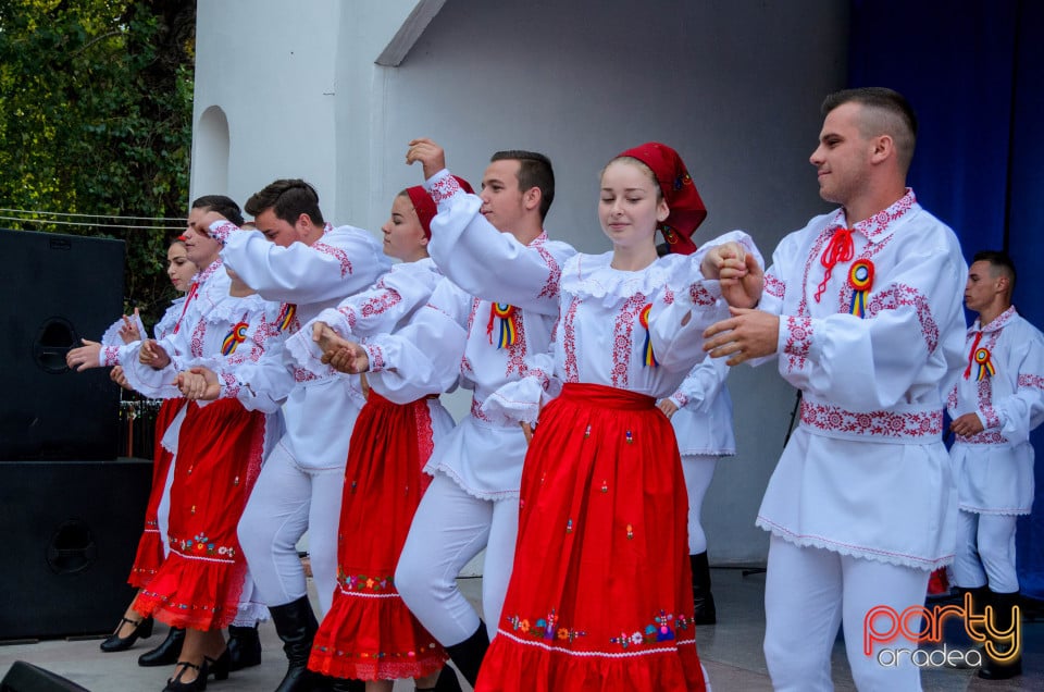 Târgul Pălincarilor, Oradea