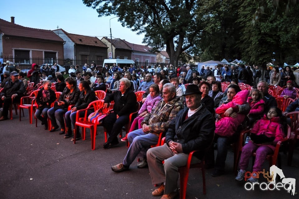 Targul Palincarilor, Oradea