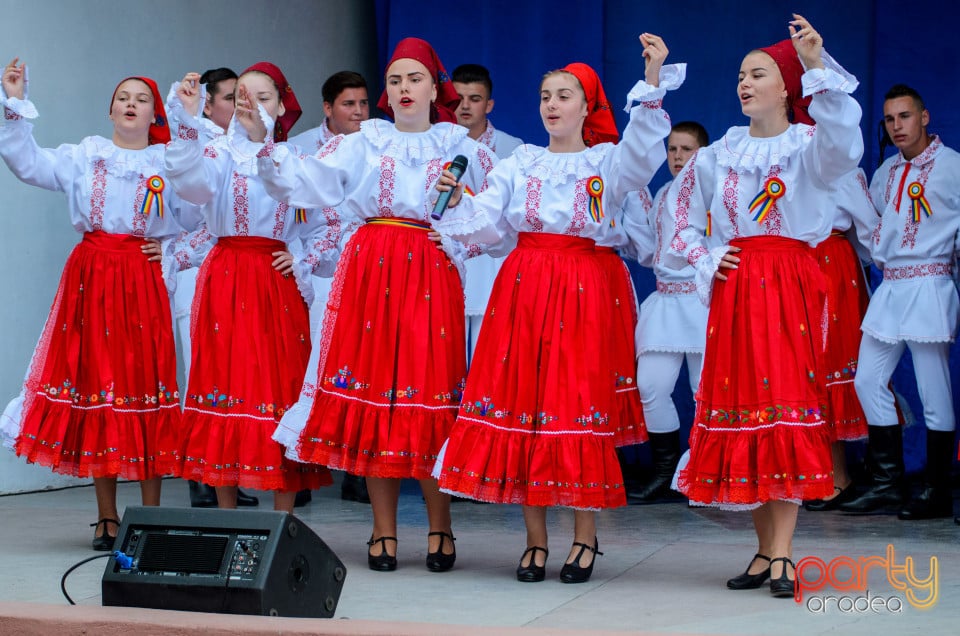 Târgul Pălincarilor, Oradea