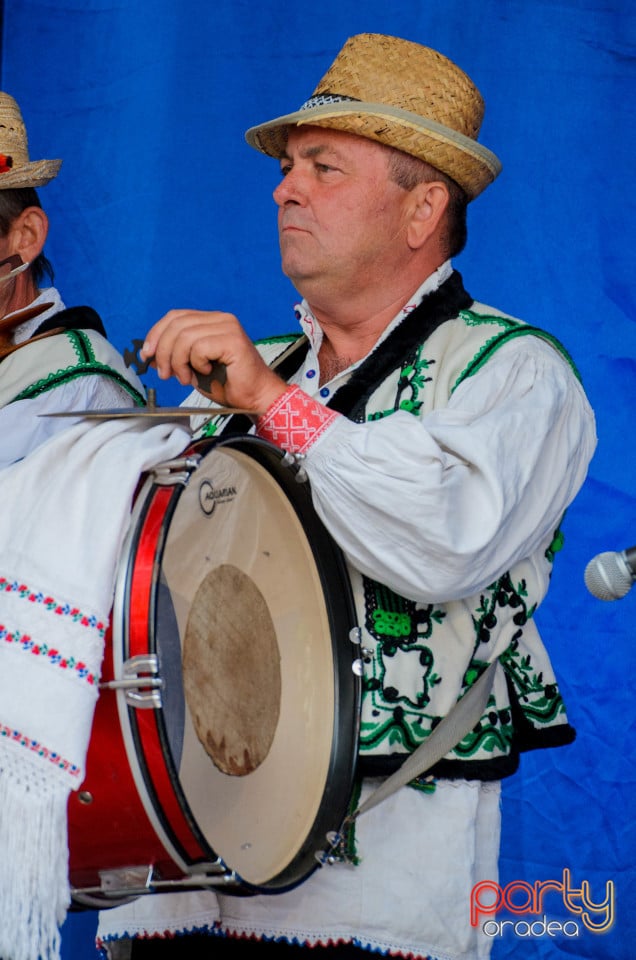 Târgul Pălincarilor, Oradea