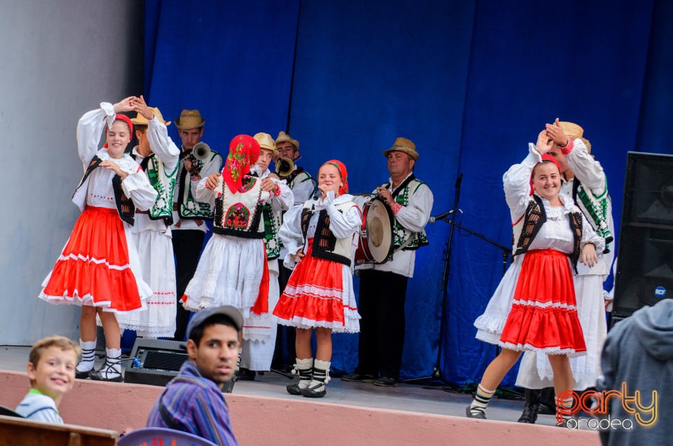 Târgul Pălincarilor, Oradea