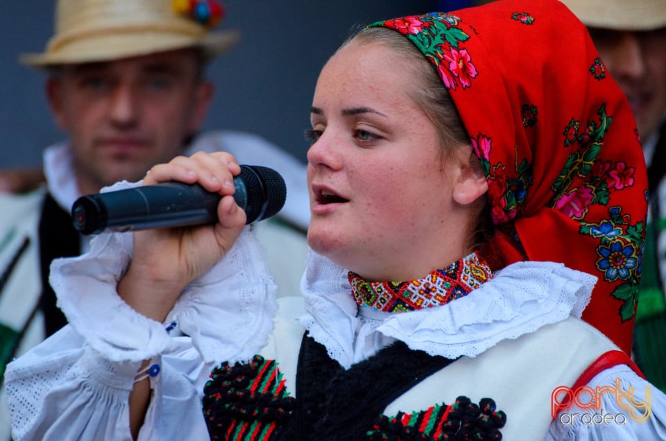 Târgul Pălincarilor, Oradea