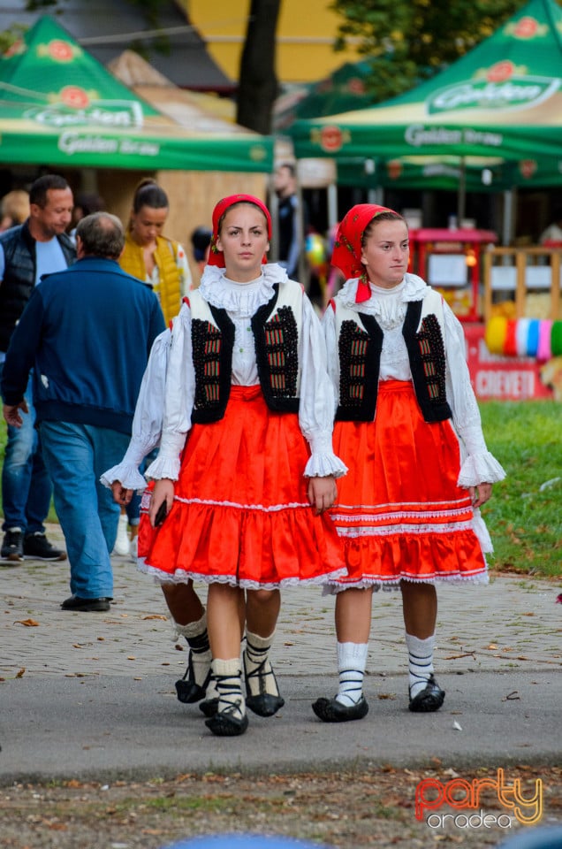 Târgul Pălincarilor, Oradea