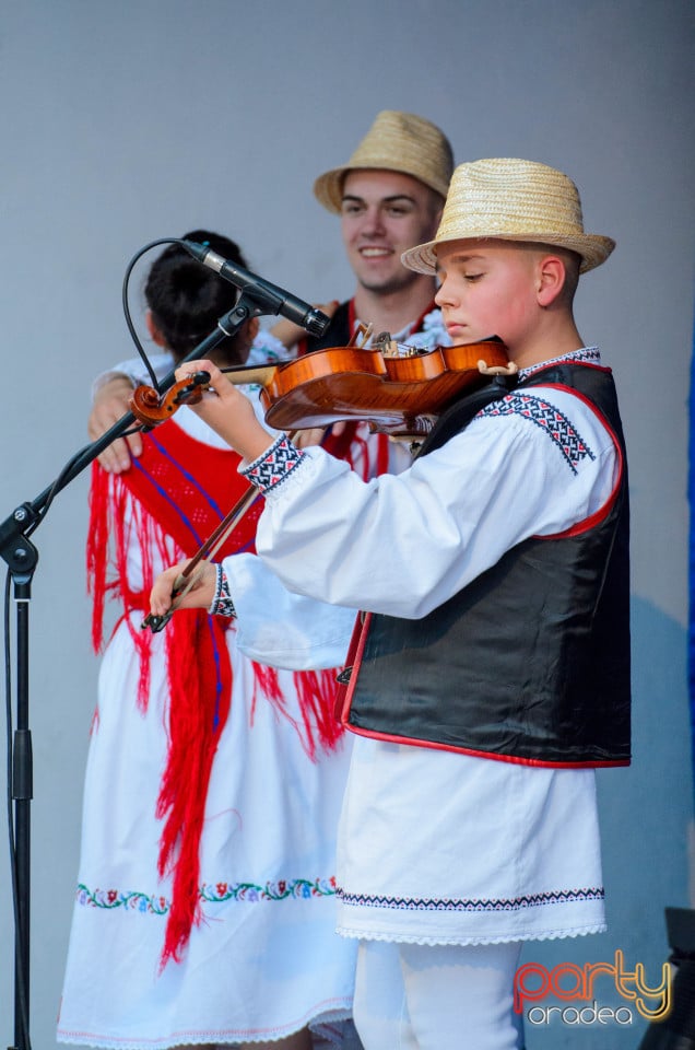 Târgul Pălincarilor, Oradea